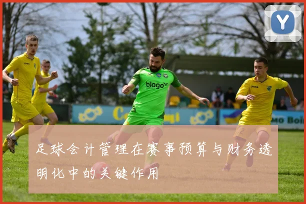 足球会计管理在赛事预算与财务透明化中的关键作用