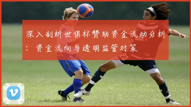 深入剖析世俱杯赞助资金流动分析：资金流向与透明监管对策