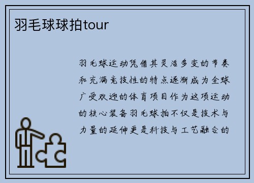 羽毛球球拍tour